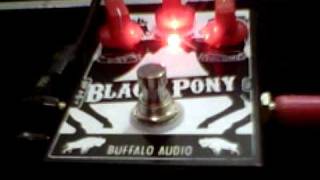 Buffalo Audio Black Pony [upl. by Ennovoj789]