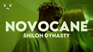 NOVOCAINE  SHILOH DYNASTY SLOWED REVERB LYRICS [upl. by Annaoy172]