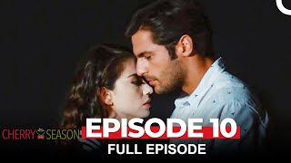 Cherry Season Episode 10 English Subtitles [upl. by Basir]