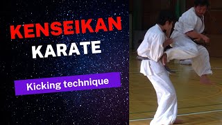 KENSEIKAN Karate quotFoot Techniquesquot Directly taught by Kantarou Kurosawa [upl. by Odlanar330]