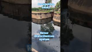 Water distribution system in irrigation canal shorts canal irrigation [upl. by Fatma]