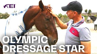 Olympic Dressage Star Steffen Peters quotHorses are just incredible animalsquot  Equestrian World [upl. by Fachini568]