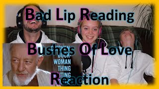 quotBushes of Lovequot  A Bad Lip Reading  Reaction [upl. by Acinom]