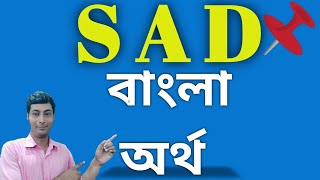 sad meaning in bengalisad বাংলা অর্থ কিsadmeaninginbengalisadsadmeaning [upl. by Adella]