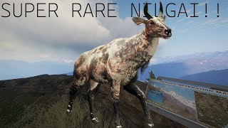 SUPER RARE NILGAI [upl. by Mharba]