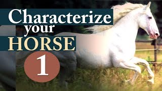 KFH HorseCharacters 1  All Riders Horsemanship Basics [upl. by Sheehan]