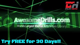 31 AWESOME Martial Arts Drills [upl. by Osman128]