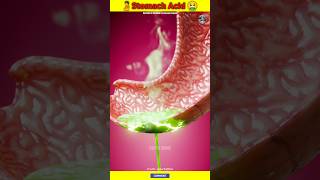 How Strong Is Stomach Acid 😨 shorts youtubeshorts stomach stomachacid acid [upl. by Luar]