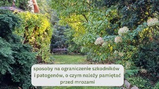 Prace jesienne Co wybieram na poplon O czym należy pamiętać przed nadejściem mrozów [upl. by Merce580]