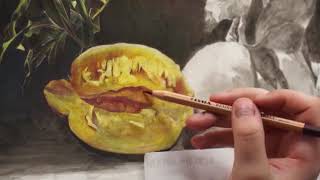 Lyra Rembrandt Aquarell Pencils with artist Emanuele Dascanio [upl. by Alage]