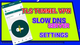 How to setup TLS tunnel vpn slow DNS server settings for Secure browsing [upl. by Castara]