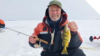 Ice Fishing for Perch at Long Point Bay [upl. by Yer506]