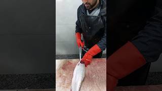 How to fillet a trout and remove the pin bones [upl. by Hatnamas]