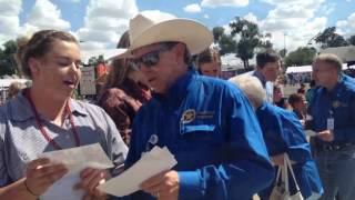 Colorado State Fair livestock auction [upl. by Annauj737]