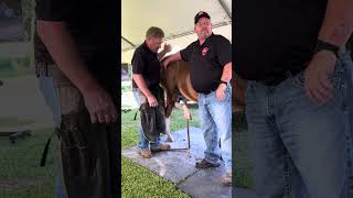 Jamey Carsel CJF on shoeing the hind limb [upl. by Zetta]