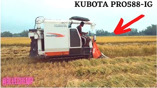 Kubota Pro588ig combine harvester I Mini combine harvester I Kubota harvester I Kubota pro588 [upl. by Seabrooke]