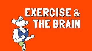 Exercise and the Brain [upl. by Jacobo736]