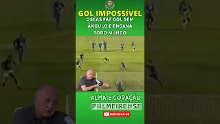 FELIPÃO FICOU PISTOLA NO GOL DO TÍTULO [upl. by Rawdon774]