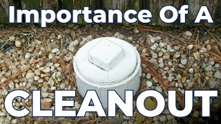 Importance of a Drain Cleanout [upl. by Naasar]