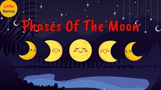 Phases of the Moon Learning About the Lunar Cycle for Kids  Little Genius [upl. by Amadus]