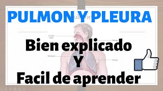 Pulmón y pleuras  sistema respiratorio solo en 7 mins MEJOR EXPLICADO [upl. by Idnym667]