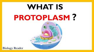 Protoplasm  Definition Diagrams Components Properties and Functions [upl. by Cerelia]