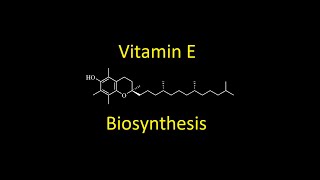 Vitamin E tocopherol Biosynthesis [upl. by Salamanca558]