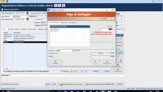 Lemissione delle fatture con il software Blustring [upl. by Son]