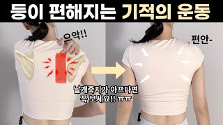 하루 8분만 하세요👌🏻뻐근한 등이 놀랍도록 편해집니다  날개뼈사이통증 등통증 싹 없애기 [upl. by Nytsua]