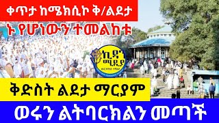 🔴Live ቀጥታ ንግሥ ከቅዱስ አማኑኤል ሰባተኛ አካባቢ [upl. by Attevad]