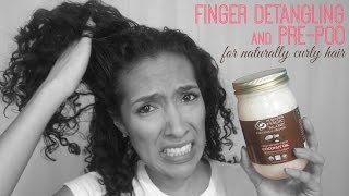 Finger Detangling and PrePoo on Curly Hair [upl. by Rap]