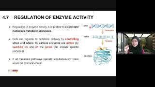 BIO091 Week 8  Chapter 4 Enzymes Part 2 [upl. by Eahsan]