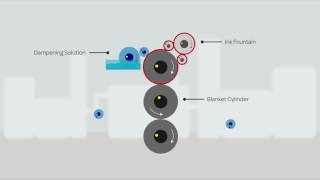 Lithographic printing process explained by Sterling [upl. by Norry]