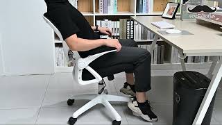 Flipup Arms Ergonomic Desk Chair with Adjustable Height Lumbar Support  Moustache®  Black [upl. by Sinnel504]