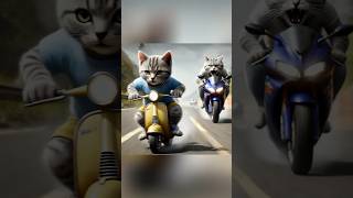 🍮Pudding Chase😡 cat kitten catvideos funny cutecat catlover [upl. by Nnilsia666]