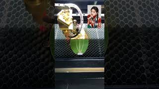 leaf engraving machine leaf painting engraving shorts [upl. by Indnahc595]