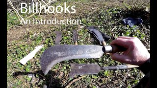 Billhooks or handbills an introduction Traditional versatile and efficient edged tools [upl. by Ellenoj]