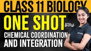 Class 11  Chemical coordination and Integration  Xylem NEET Tamil  Xylem NEET Tamil [upl. by Elaine]