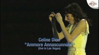 CELINE DION canta in Napoletano  AMMORE ANNASCUNNUTO Live in Las Vegas [upl. by Aicertap]