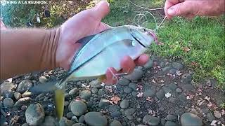 Carangue Du Plus Petit Au Plus Gros Pêche Du Bord Pêche En Bateau FISHING 974 [upl. by Nylloc]