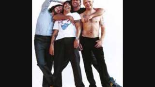 Cant Stop By Red Hot Chili Peppers lyrics [upl. by Gahl434]