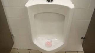 Eljer Urinal Flush 4 [upl. by Mij]