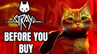 STRAY  12 Things You NEED TO KNOW Before You Buy [upl. by Anivlis]