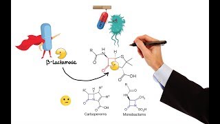 Pharmacology – ANTIBIOTICS – CELL WALL amp MEMBRANE INHIBITORS MADE EASY [upl. by Hayes]