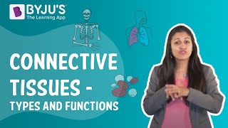 Connective Tissues  Types And Functions I Class 9 I Learn with BYJUS [upl. by Tepper]