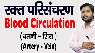 Blood Circulation  रुधिर परिसंचरण  Artery  धमनी  Veins  शिरा  in Hindi [upl. by Dagny]