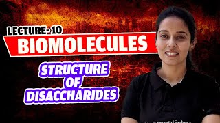 10Oligosaccharides Structure of Disaccharides Carbohydrates Biomolecules NEET lass 11 [upl. by Montanez220]