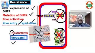 Anticancer drugs  ANTIMETABOLITES by Dr Thirunavukkarasu Jayaraman DAMS Faculty [upl. by Llerahc]