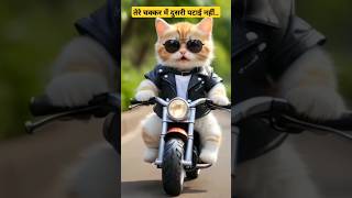 तेरे चक्कर में दुसरी पटाई नहींCat shortvideo ytshorts viralvideo viralsong [upl. by Eem]