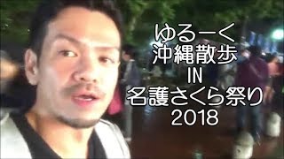 JOEY散歩・名護桜まつり2018年編 [upl. by Nahem]